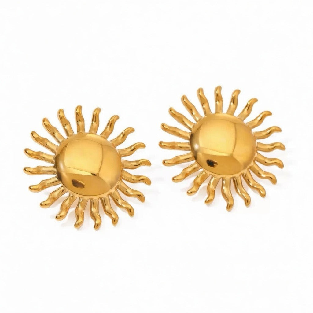 SUNMI bold earings